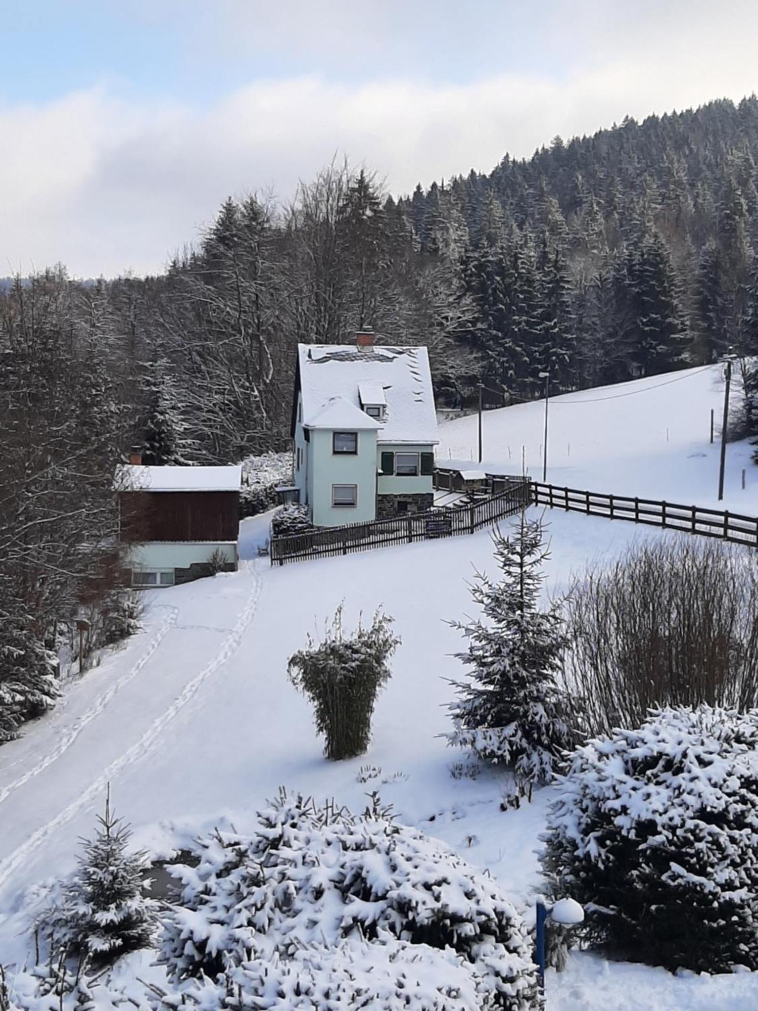 Ferienhaus Rosemarie Erlbach Vogtland Exterior photo