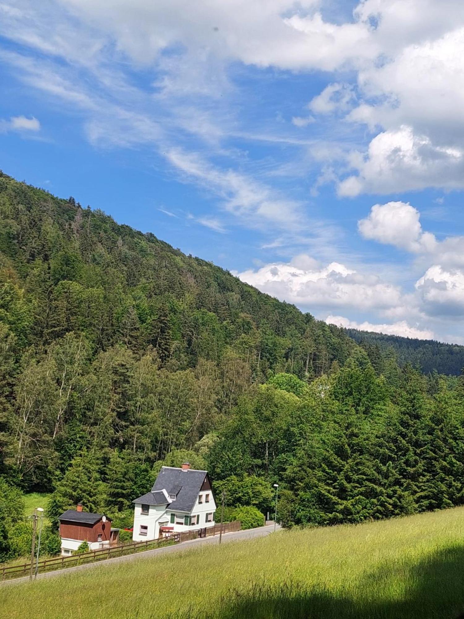 Ferienhaus Rosemarie Erlbach Vogtland Exterior photo